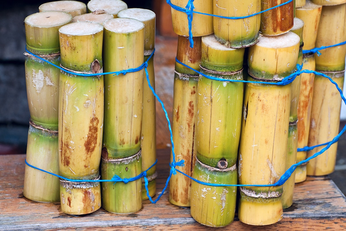 Sugarcane Spirits: Sugarcane