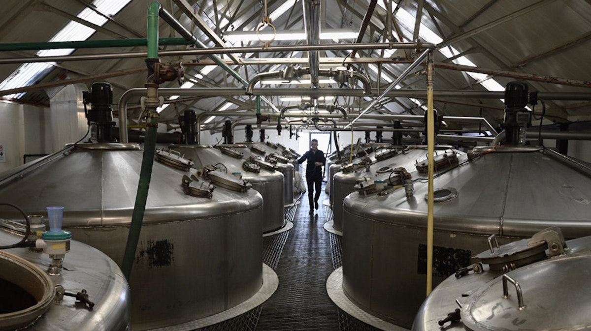 Scotch Fermentation How Flavor Is Really Built Distiller