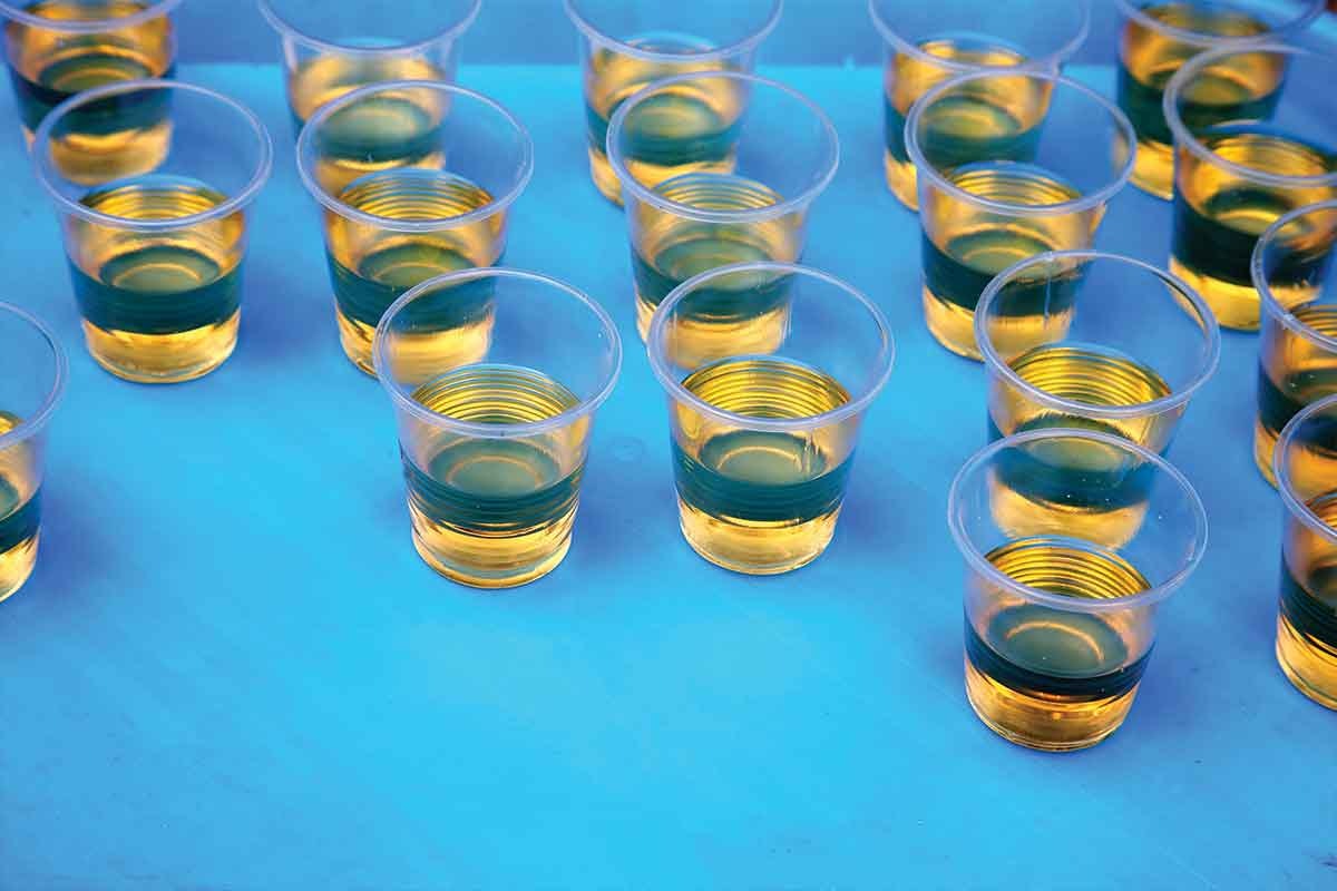 Shots of Tequila: American Agave Spirits