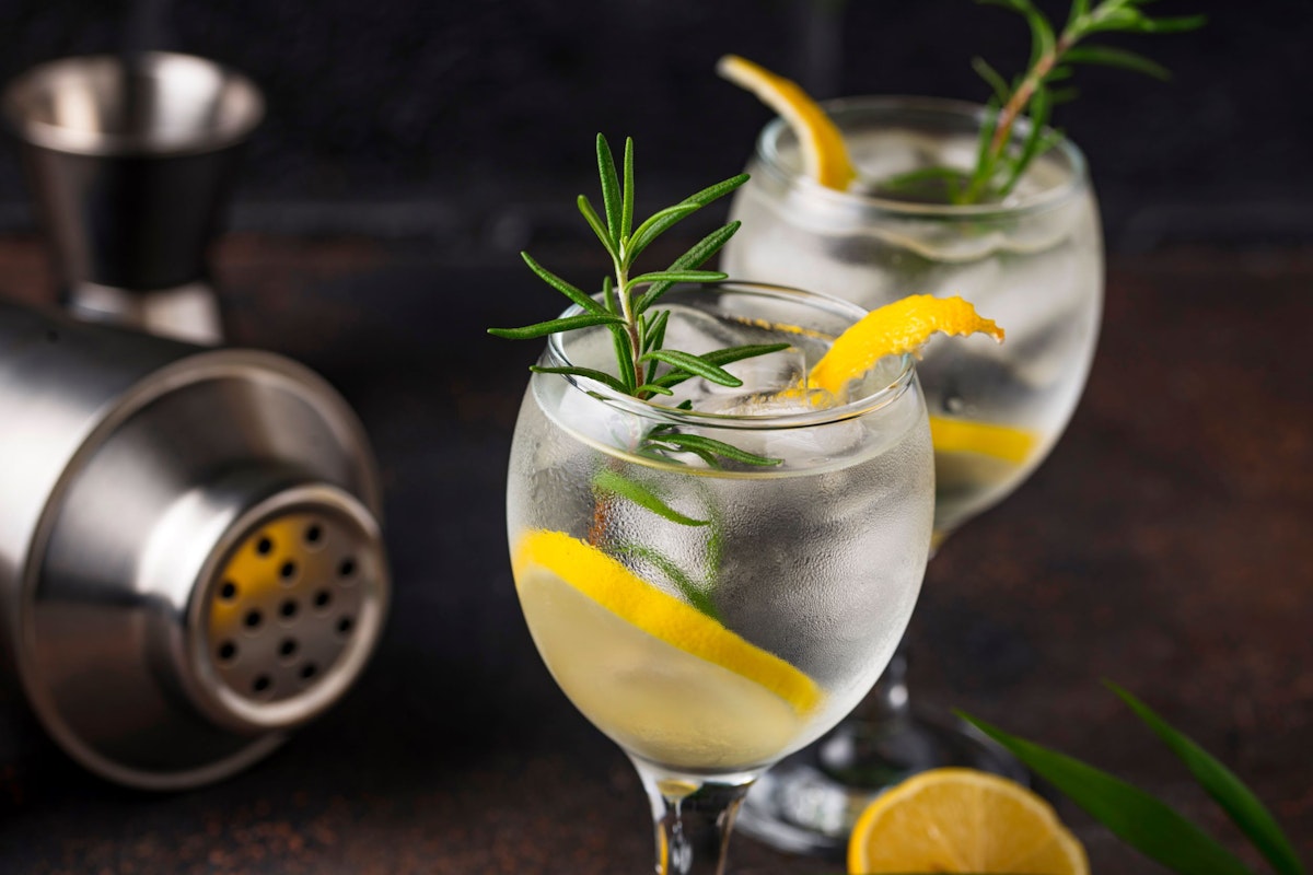 Spanish Gin: Gin and Tonic